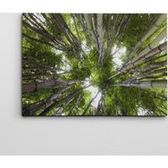 Dekolata Bambular 40x60 cm Kanvas Tablo