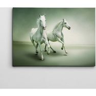 Dekolata Beyaz Atlar 40x60 cm Kanvas Tablo
