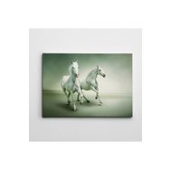 Dekolata Beyaz Atlar 50x70 cm Kanvas Tablo