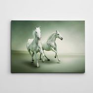 Dekolata Beyaz Atlar 70x100 cm Kanvas Tablo