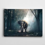 Dekolata DK001753 Fil 70x100 cm Kanvas Tablo