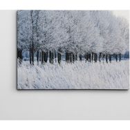 Dekolata Donmuş Topraklar 40x60 cm Kanvas Tablo