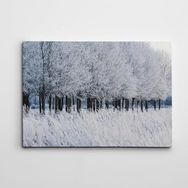 Dekolata Donmuş Topraklar 50x70 cm Kanvas Tablo
