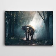 Dekolata Fil 100x140 cm Kanvas Tablo
