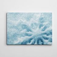 Dekolata Kar Taneciği 40x60 cm Kanvas Tablo