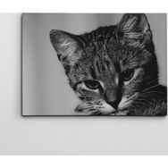 Dekolata Kedi 70x100 cm Kanvas Tablo