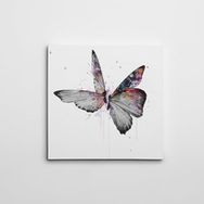 Dekolata Kelebekler Kare 50x50 cm Kanvas Tablo