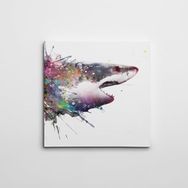 Dekolata Köpek Balığı Kare 50x50 cm Kanvas Tablo