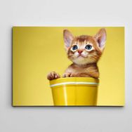 Dekolata Kovada Sevimli Yavru Kedi 85x120 cm Kanvas Tablo