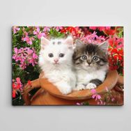 Dekolata Küpte Sevimli Kediler 60x85 cm Kanvas Tablo