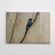 Dekolata Mavi Kuş 40x60 cm Kanvas Tablo