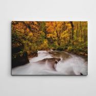 Dekolata Nehir 40x60 cm Kanvas Tablo