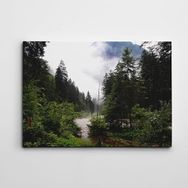Dekolata Nehir ve Orman 70x100 cm Kanvas Tablo