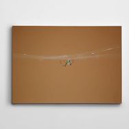 Dekolata Örümcek 70x100 cm Kanvas Tablo