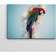 Dekolata Papagan 40x60 cm Kanvas Tablo