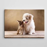 Dekolata Sevimli Kaniş Ve Yavru Kedi 70x100 cm Kanvas Tablo