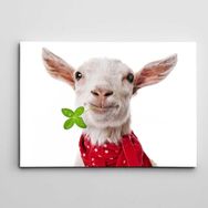 Dekolata Sevimli Keçi 50x70 cm Kanvas Tablo
