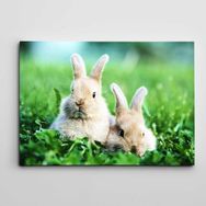 Dekolata Sevimli Tavşanlar 50x70 cm Kanvas Tablo