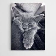 Dekolata Uyuyan Kedi 100x140 cm Kanvas Tablo