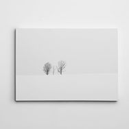 Dekolata Uzak Ağaçlar 70x100 cm Kanvas Tablo