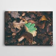 Dekolata Yapraklar 100x140 cm Kanvas Tablo