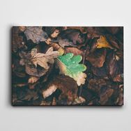 Dekolata Yapraklar 25x35 cm Kanvas Tablo