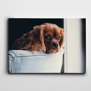 Dekolata Yavru Köpek 35x50 cm Kanvas Tablo