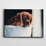 Dekolata Yavru Köpek 85x120 cm Kanvas Tablo