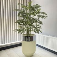 Dekoratif Krom Darbuka 60 cm Beyaz Saksı