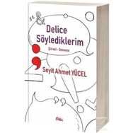 Delice Söylediklerim - Seyit Ahmet Yücel