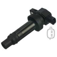 Delphi GN10590-12B1 Accen Blue 1.4 Ateşleme Bobini