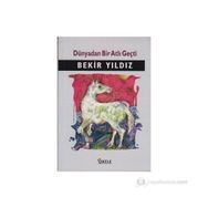 DEMIR BEBEK - BEKIR YILDIZ