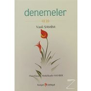DENEMELER - VASFI SAMIM