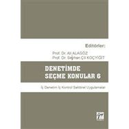Denetimde Seçme Konular 6 - Ali Alagöz Seyhan Çil Koçyiğit