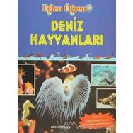 Deniz Hayvanları - Derleme