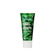 Dentiste Andrographis 40 ml Diş Macunu
