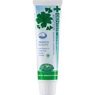 Dentiste Dentiste Plus White Night Time Sensitive 100 gr Diş Macunu