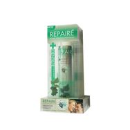 Dentiste Repaire Onarıcı 70 gr Diş Macunu