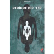 Derinde Bir Yer - Ahmet İlhan