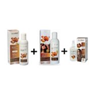 Dermaderm Argan 300 ml Şampuan + Argan Yağı Özlü 500 ml Saç Kremi + Argan Özlü Saç Bakım Sütü