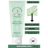 Dermal Cica x Mide Facial 75 ml Centella Asiatica ve Seramid Özlü Yüz Kremi