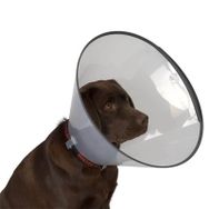 Dermo-Vet 10 cm Köpek Elizabet Yakalığı