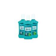 Dermokil Nane Özlü 3x500 ml Ağız Bakım Suyu