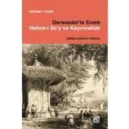 Dersaadet'te Emek Netice-İ Sa'y Ve Kayınvalide - Mehmet Tahir