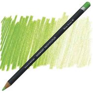 Derwent Procolour 49 Grass Green Kuru Boya Kalemi