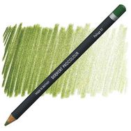 Derwent Procolour 51 Folıage Kuru Boya Kalemi