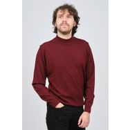 Desen Triko 0249604 Bordo Erkek Kazak
