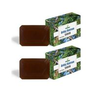 Destek 2x150 gr Ardıç Katranı Sabunu
