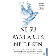 Destek Yayınları Ne Su Aynı Artık Ne de Sen