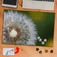 DF871 Yakın Çekim Karahindiba 240 Parça Puzzle Yapboz Tablo